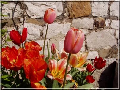 le printemps