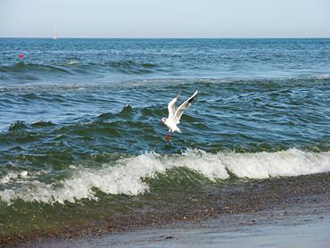 la mer