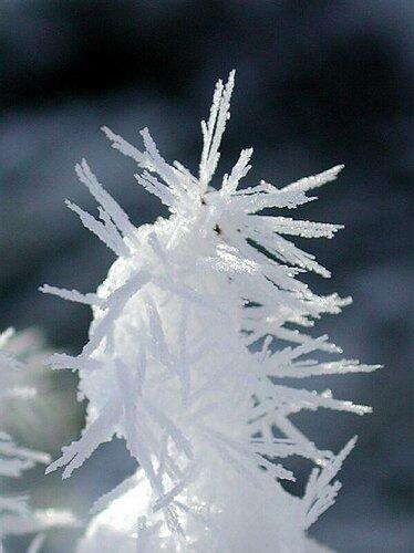 le givre