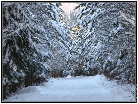 la neige