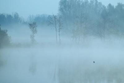 la brume