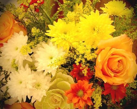 pour mes amies