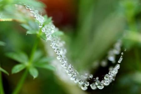 collier de pluie