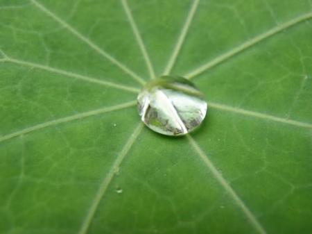 un diamant de pluie