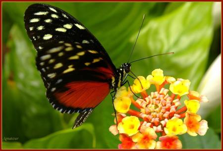 palette de couleurs