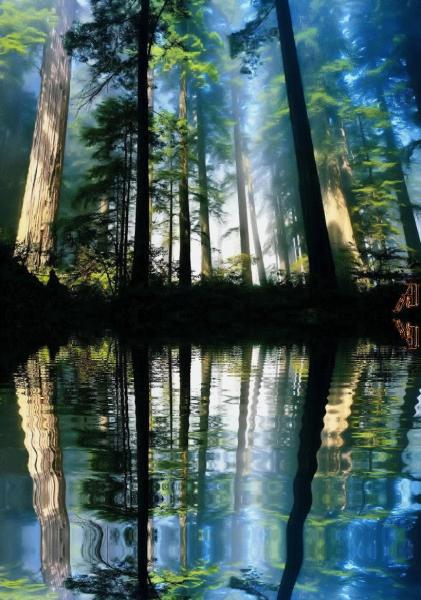 dans le reflet