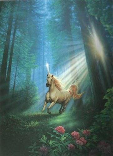 licorne dream