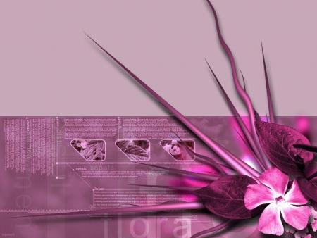 flowers utopia dream pink  detresse et espoir ou est la reponse