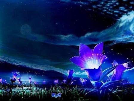fleurs indigo